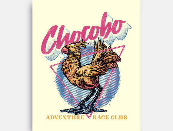 Adventure Racing Club