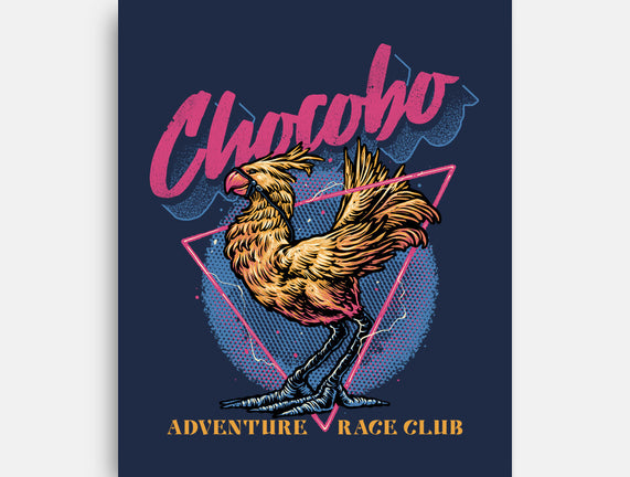 Adventure Racing Club