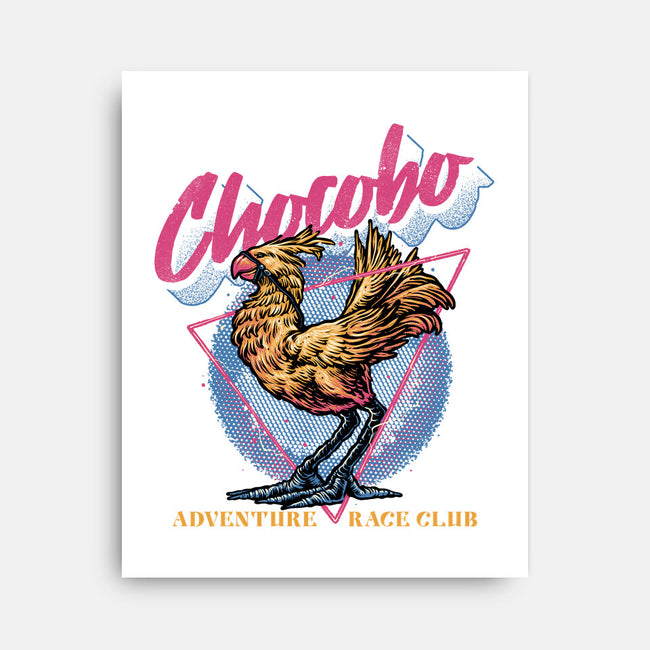 Adventure Racing Club-None-Stretched-Canvas-glitchygorilla