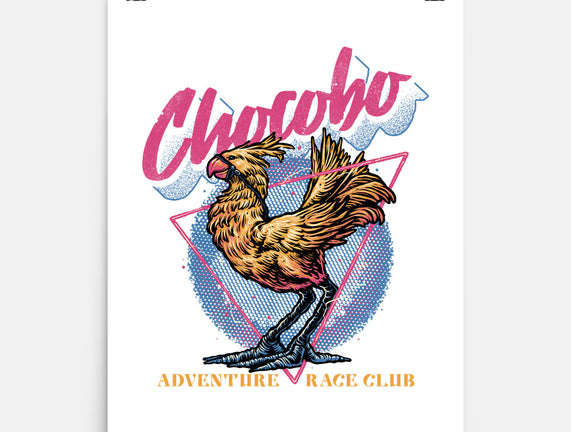 Adventure Racing Club