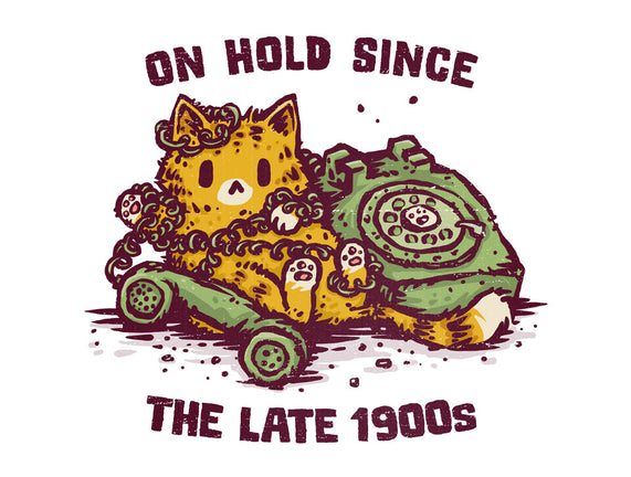 On Hold Since The Late 1900s