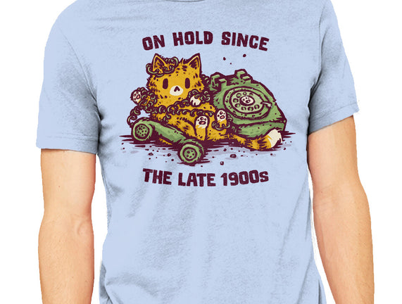 On Hold Since The Late 1900s