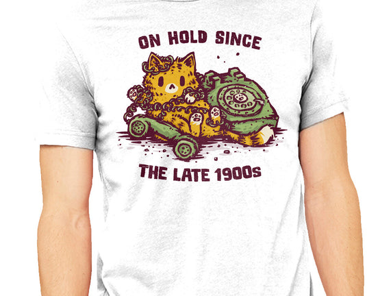 On Hold Since The Late 1900s