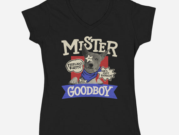 Mister Goodboy