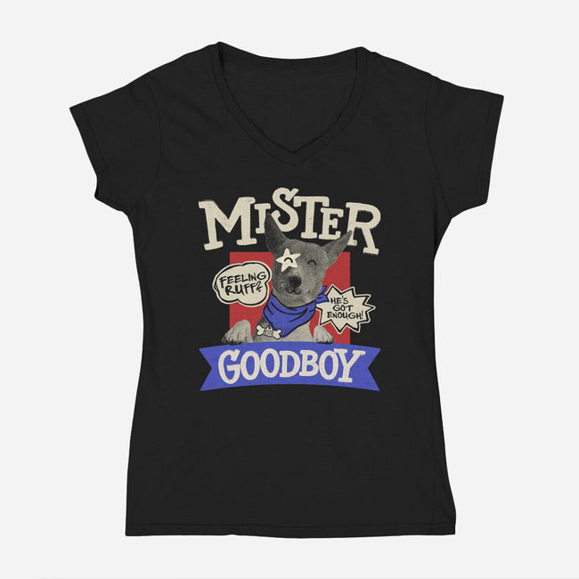 Mister Goodboy-Womens-V-Neck-Tee-Estudio Horta