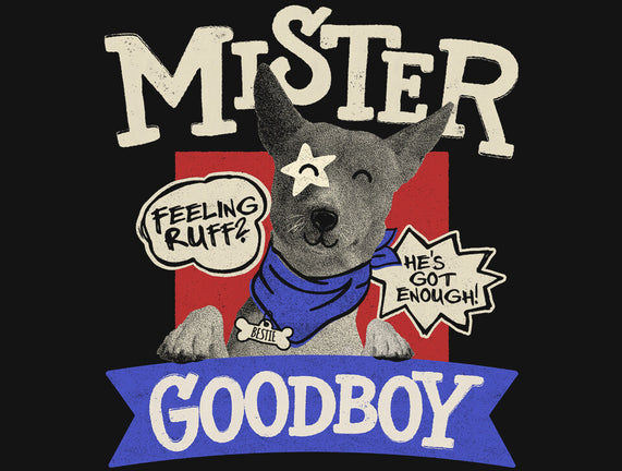 Mister Goodboy