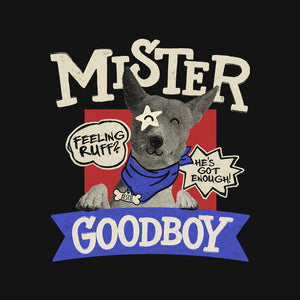 Mister Goodboy
