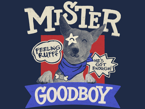 Mister Goodboy