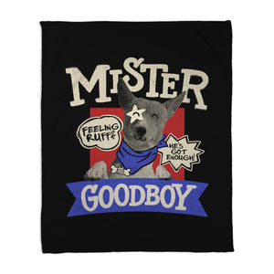 Mister Goodboy
