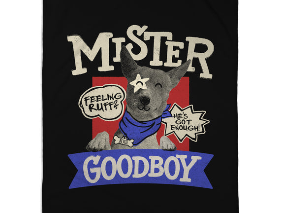 Mister Goodboy