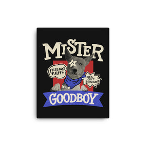 Mister Goodboy