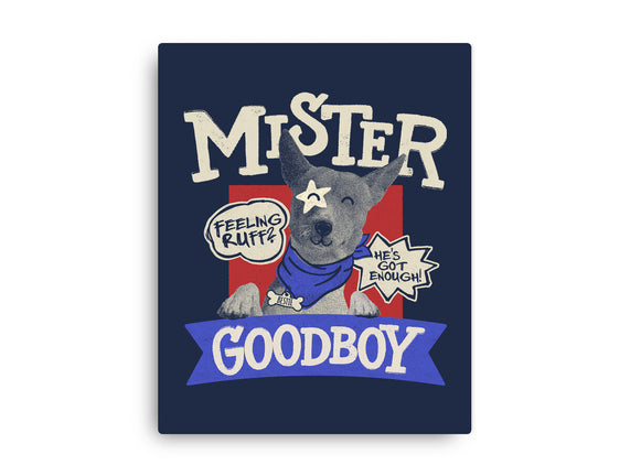 Mister Goodboy