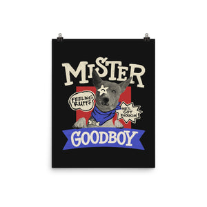 Mister Goodboy