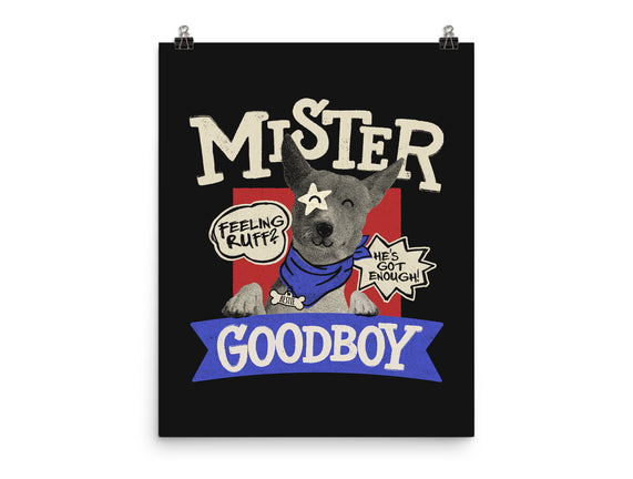 Mister Goodboy