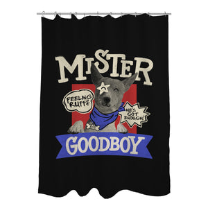 Mister Goodboy