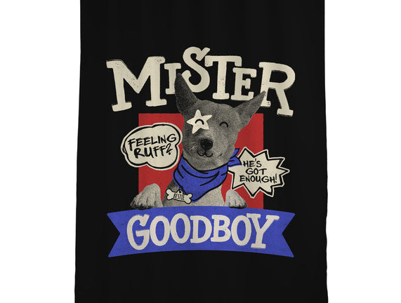 Mister Goodboy