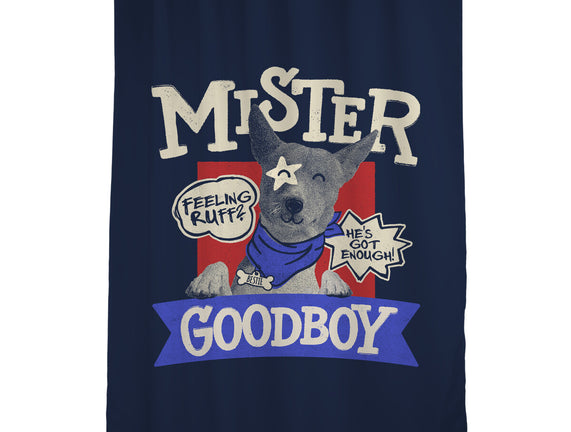 Mister Goodboy
