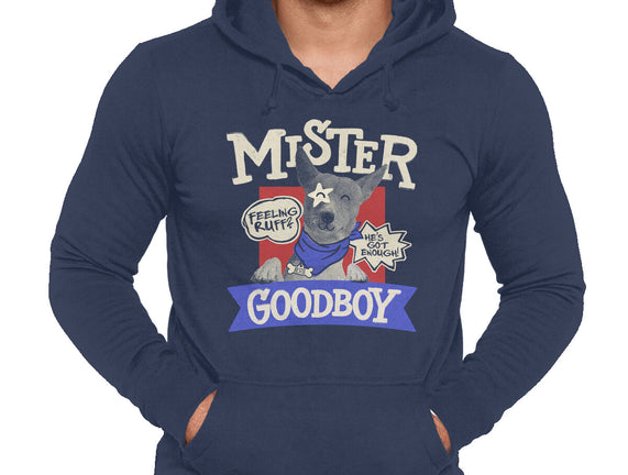 Mister Goodboy