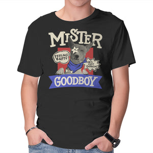 Mister Goodboy