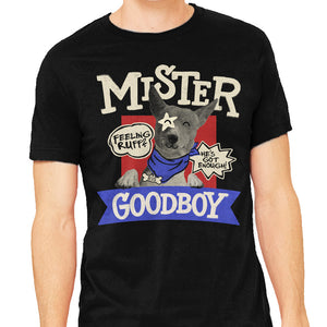 Mister Goodboy
