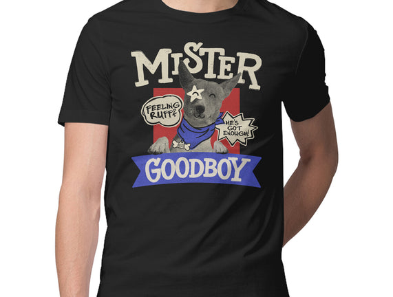Mister Goodboy
