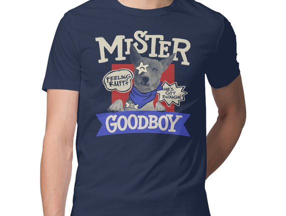 Mister Goodboy