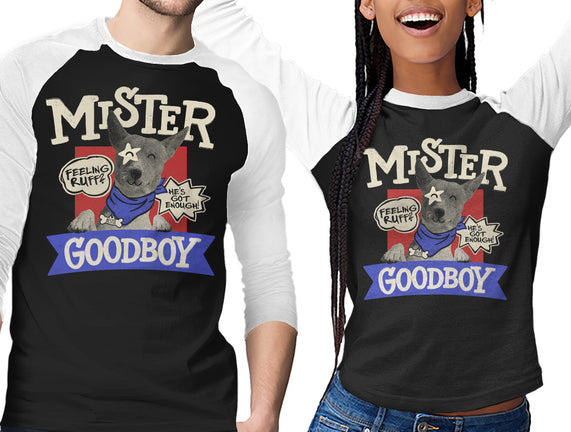 Mister Goodboy