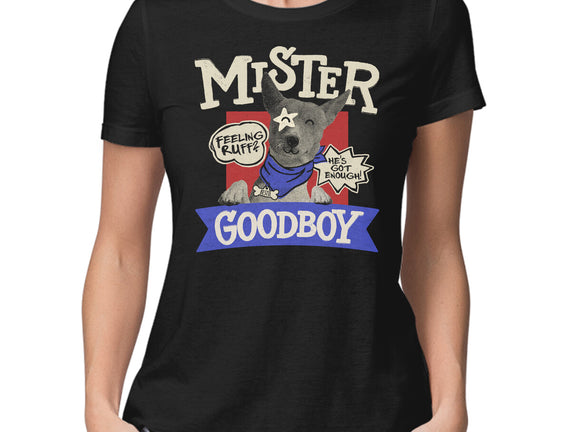 Mister Goodboy