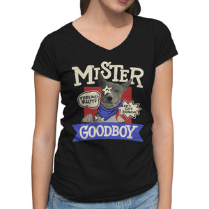 Mister Goodboy