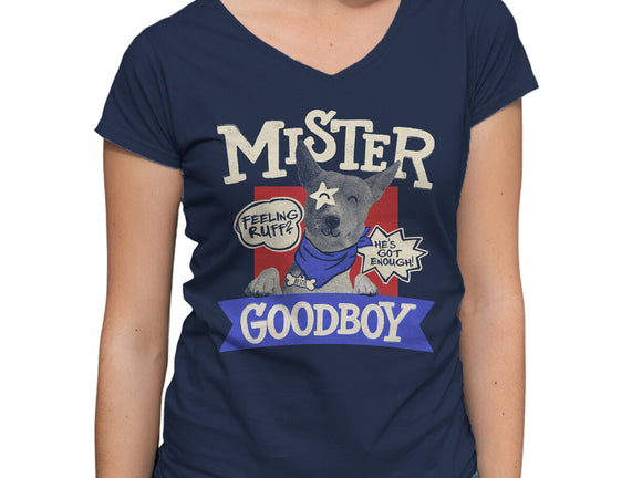 Mister Goodboy
