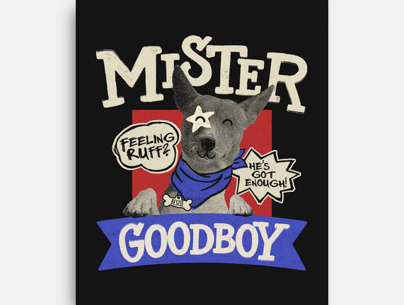 Mister Goodboy