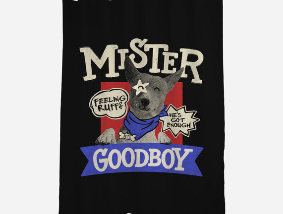 Mister Goodboy