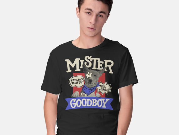 Mister Goodboy