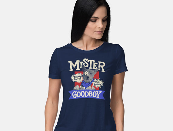 Mister Goodboy