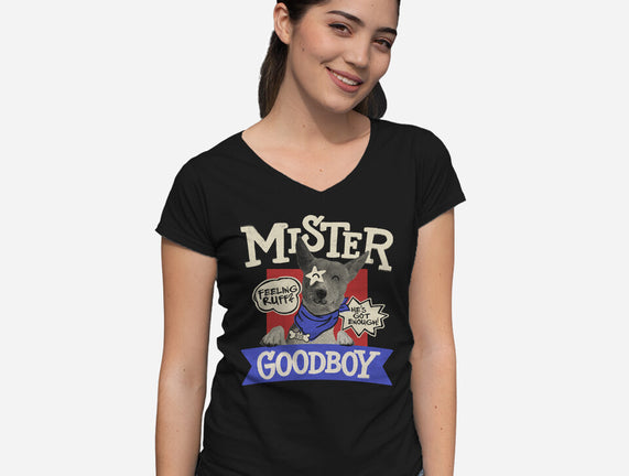 Mister Goodboy