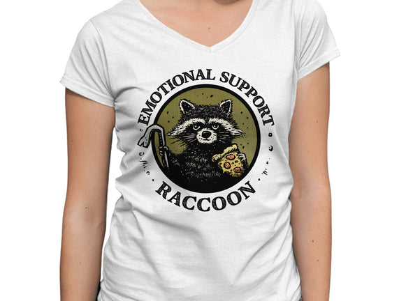 Emotional Support Raccoon