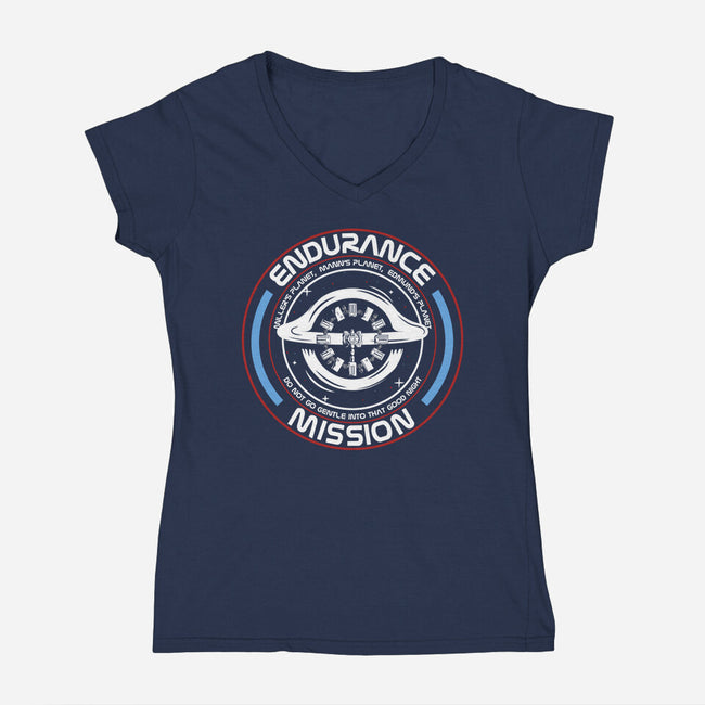 Endurance-Womens-V-Neck-Tee-piercek26
