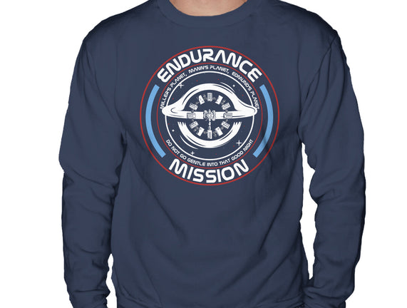 Endurance