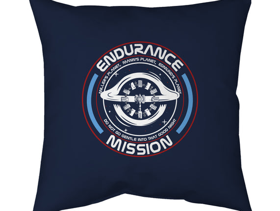 Endurance