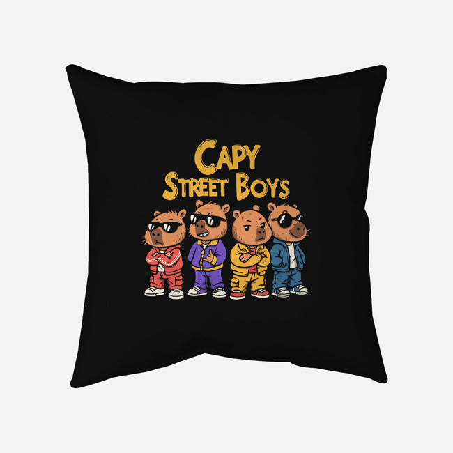 Capy Street Boys-None-Removable Cover w Insert-Throw Pillow-Marinho