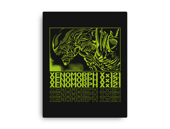 XENO XX121