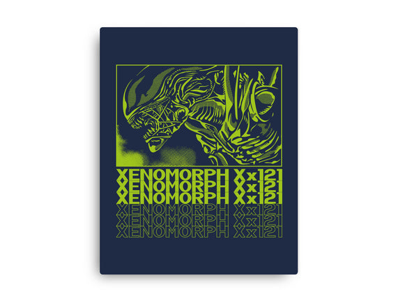 XENO XX121