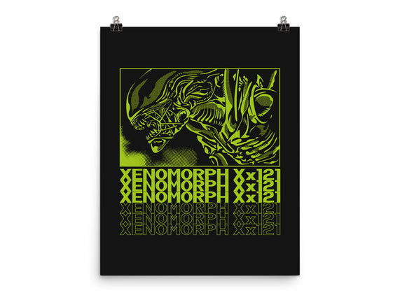 XENO XX121