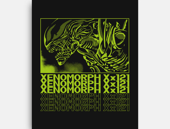 XENO XX121