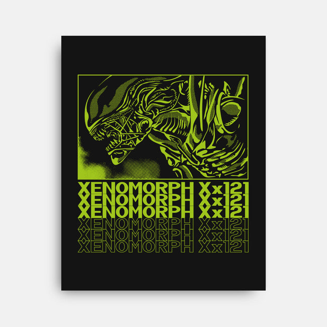 XENO XX121-None-Stretched-Canvas-arace