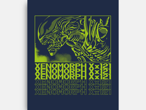 XENO XX121