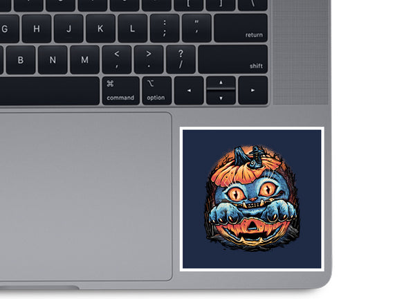 Blue Tiger Pumpkin