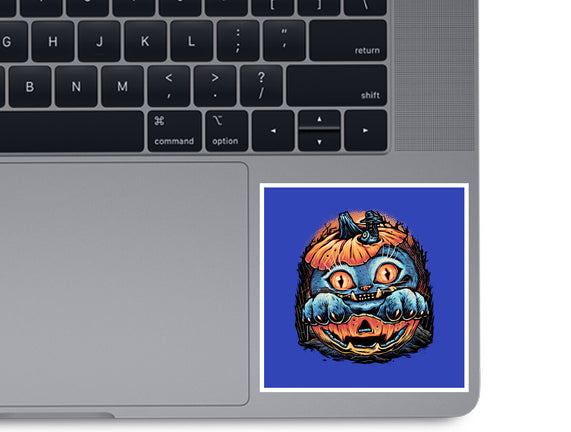 Blue Tiger Pumpkin