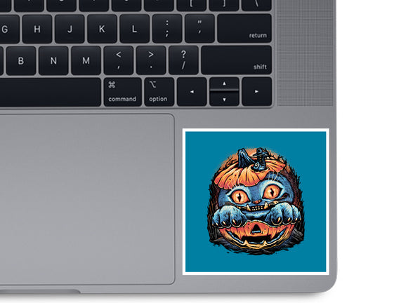 Blue Tiger Pumpkin