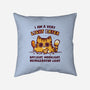 A Light Eater-None-Removable Cover w Insert-Throw Pillow-kg07